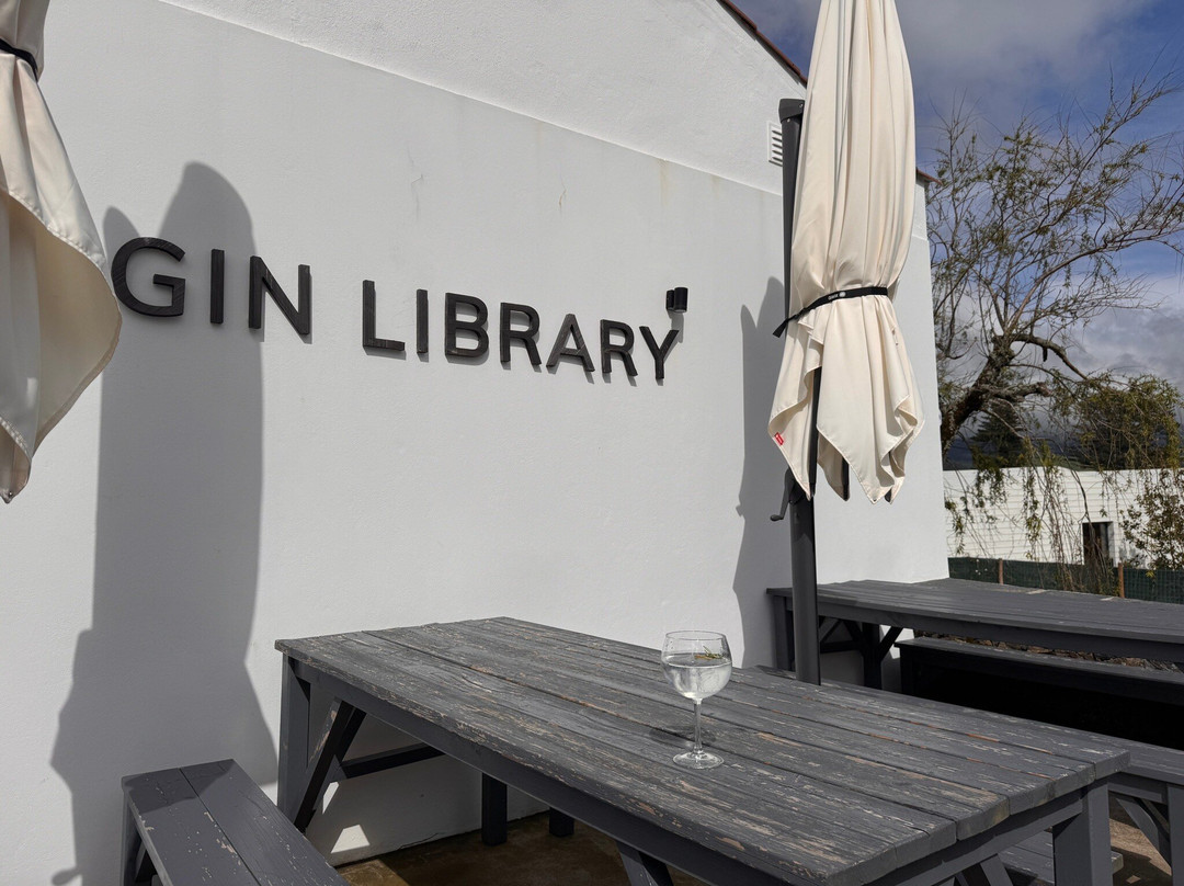 The Gin Library-蓬塔德尔加达必去景点