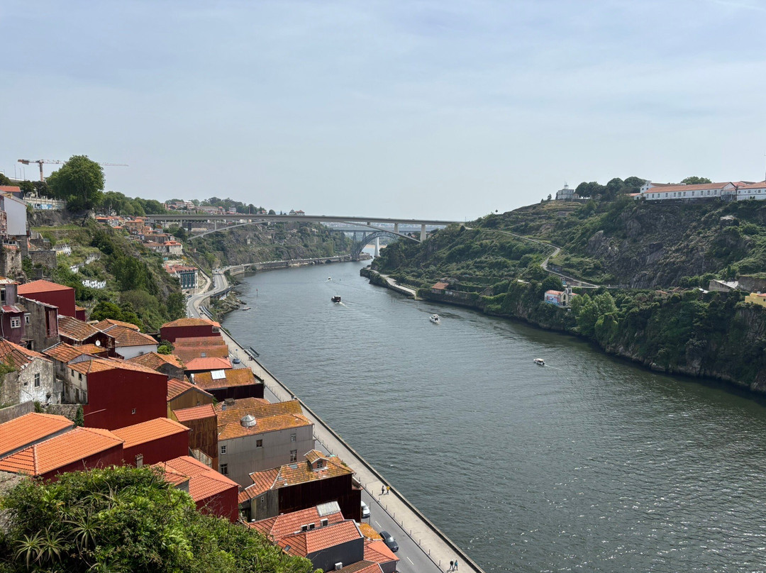 Hi Porto Walking Tours-波尔图必去景点