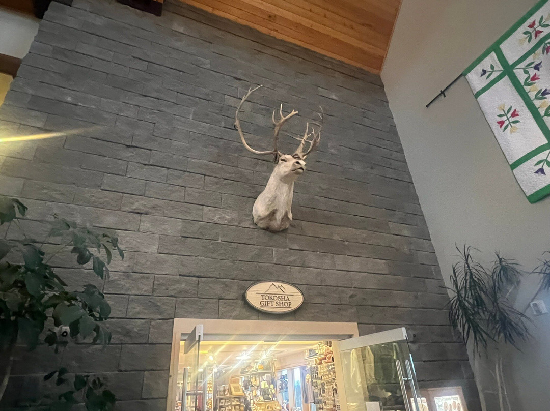 塔尔基特纳阿拉斯加旅舍酒店主图
