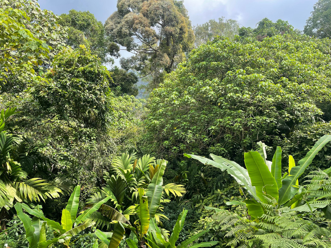 The Habitat Penang Hill-槟城岛必去景点