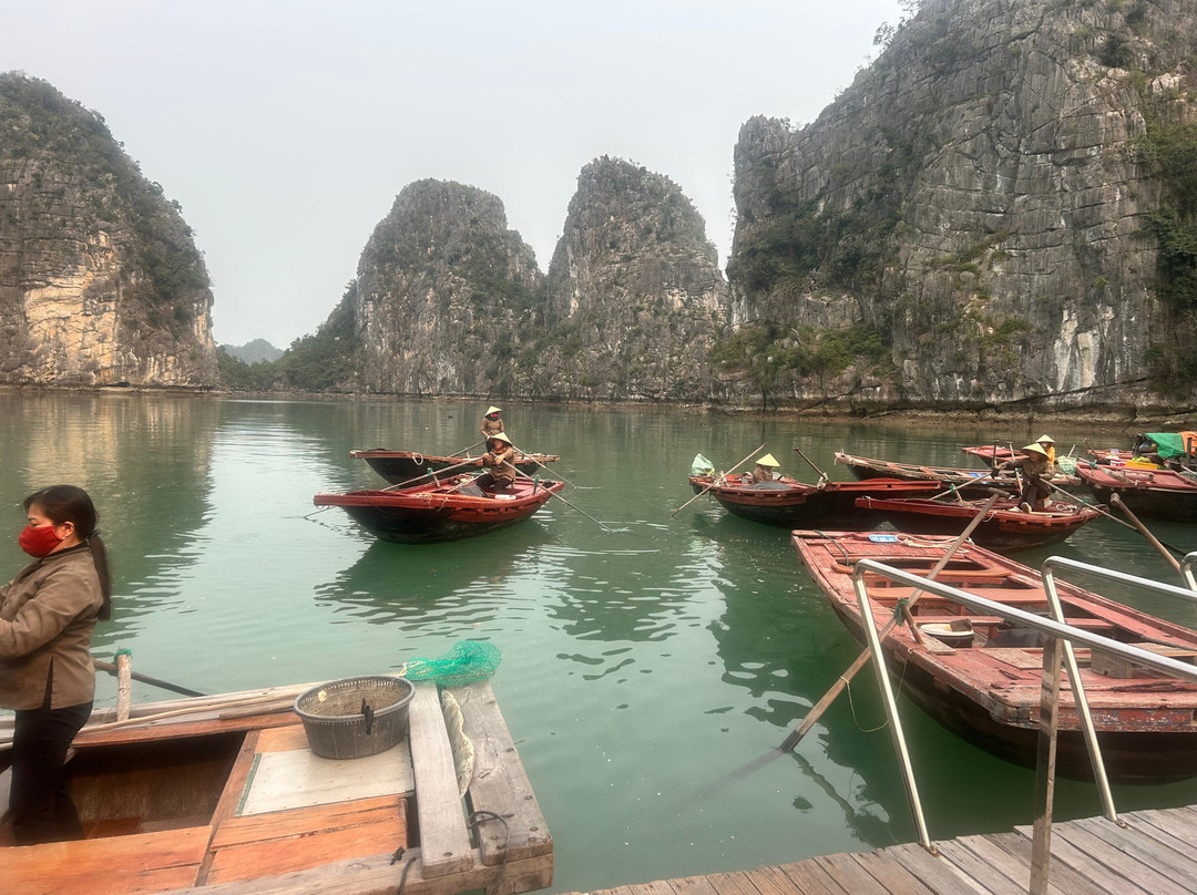 Asia Tours-胡志明市必去景点