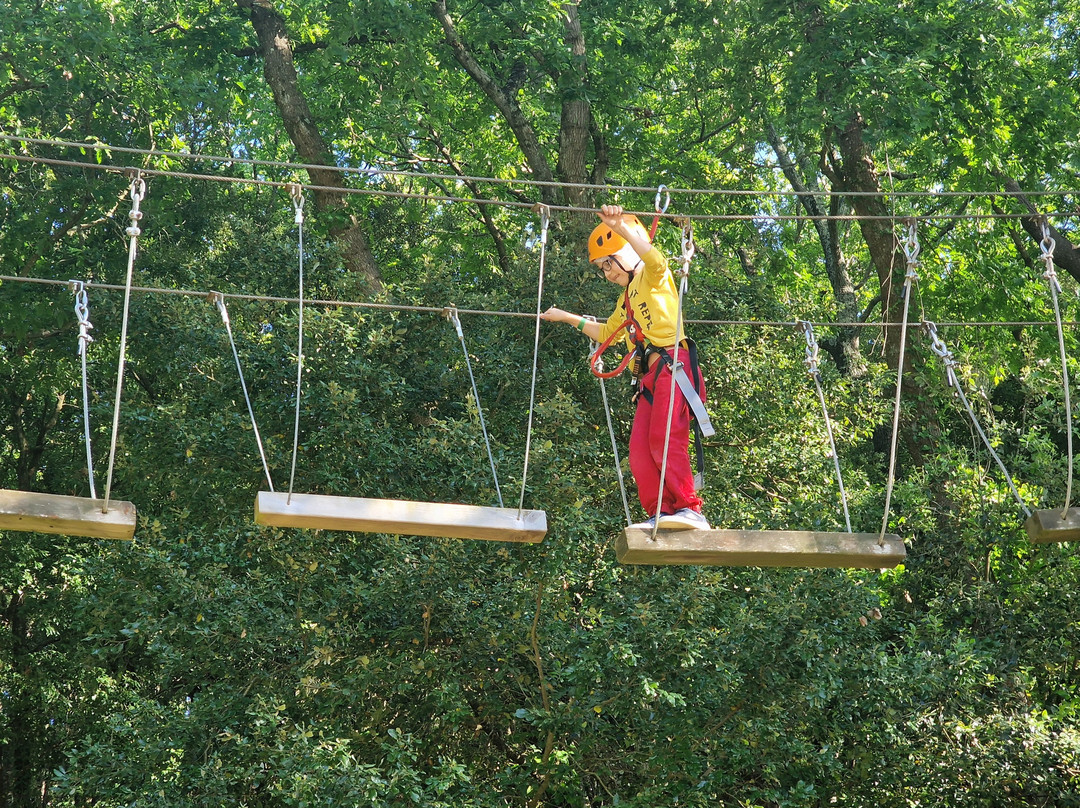 Parco Avventura Il Giardino Sospeso-Riparbella必去景点