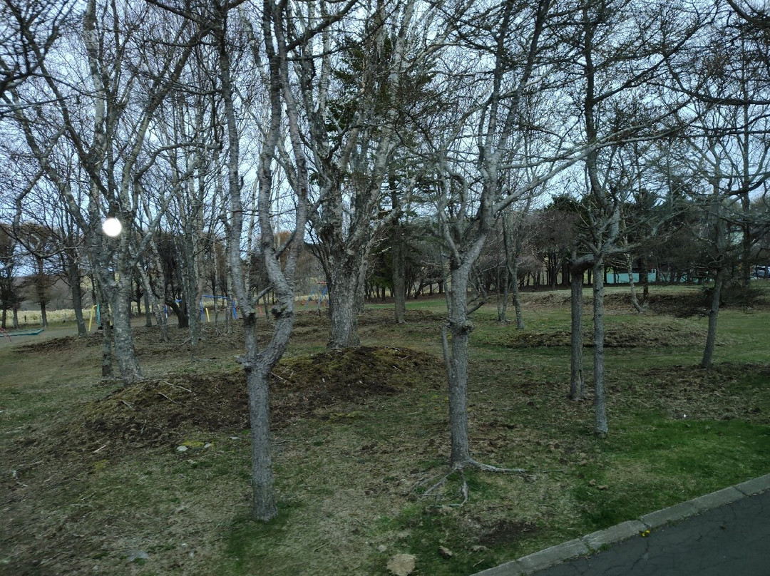 Meiji Park-根室市必去景点