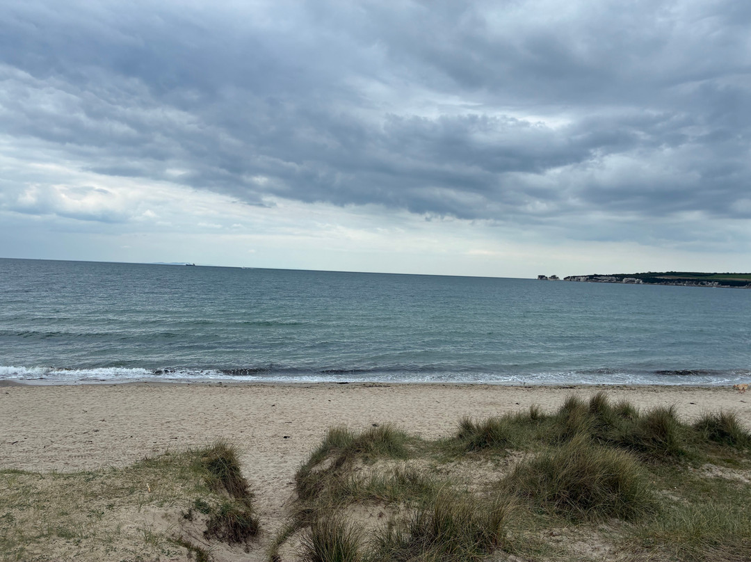 Studland beach and Nature Reserve-Studland必去景点