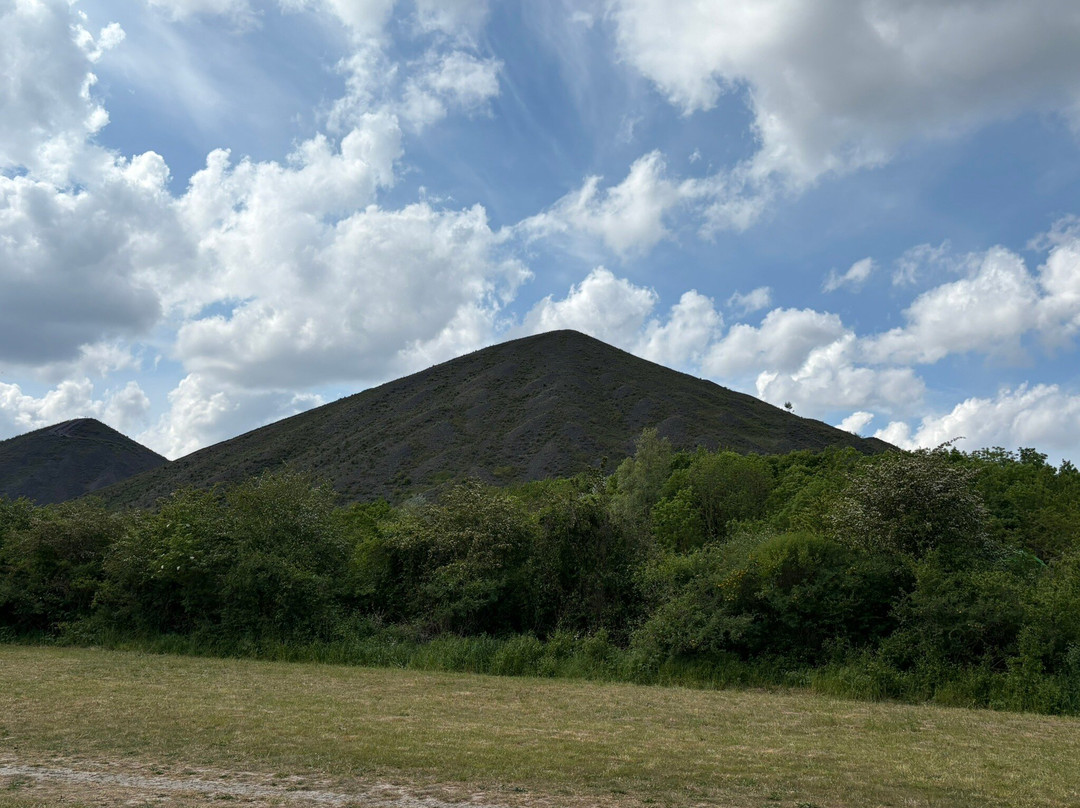 Terril De Loos En Gohelle-Loos en Gohelle必去景点