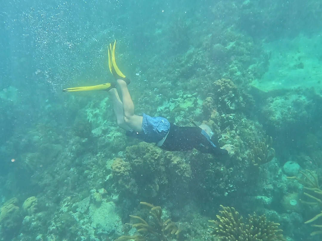 Islander Girl Snorkel &Tours-Tavernier必去景点