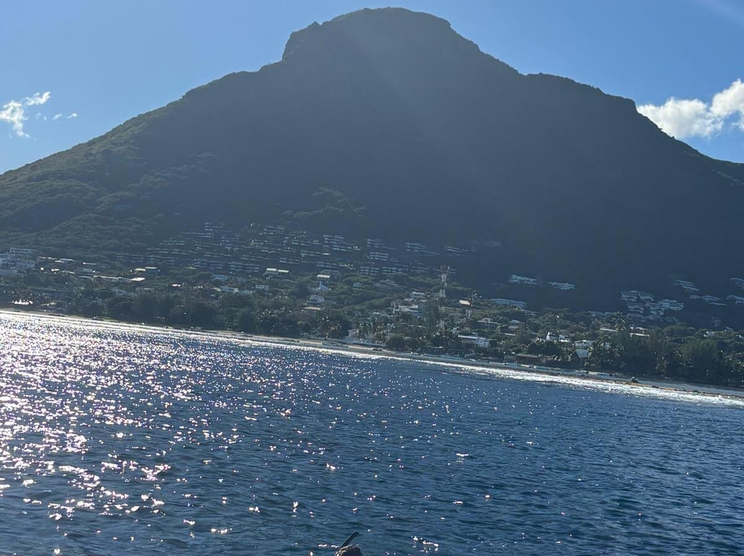 Paradisio Excursions Ile Maurice-大湾必去景点
