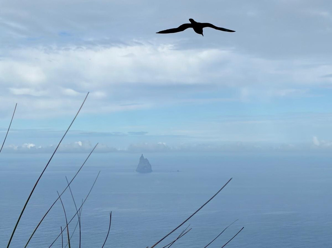 Lord Howe Environmental Tours-豪勋爵群岛必去景点