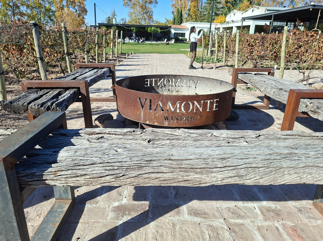 Viamonte Winery-路冉得库约必去景点