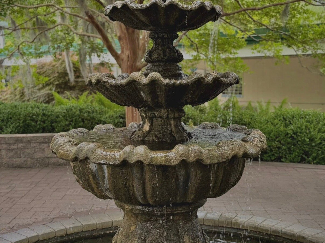 New Hanover County Arboretum-威尔明顿必去景点