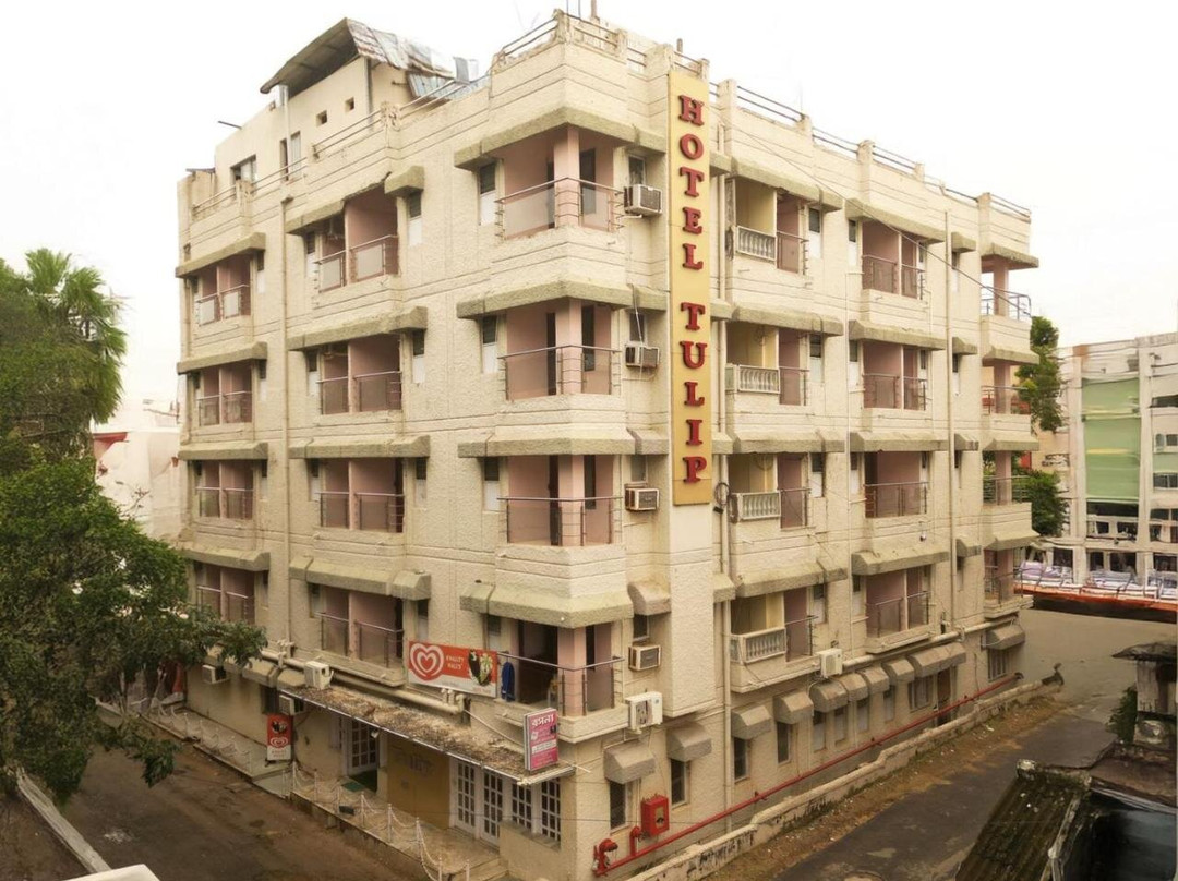 HOTEL TULIP