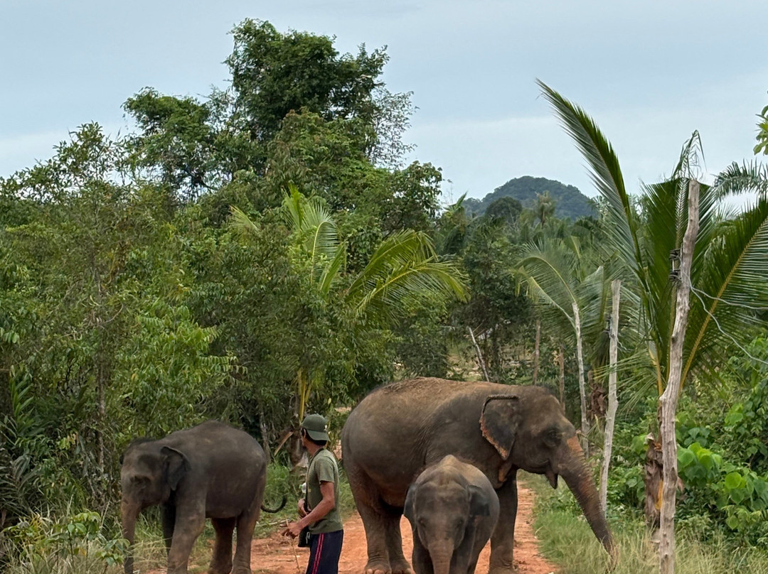 Following Giants - Krabi-Khlong Hin必去景点