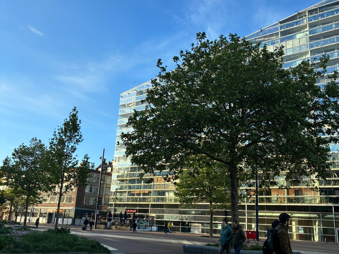 Grote of Sint-Laurenskerk-鹿特丹必去景点