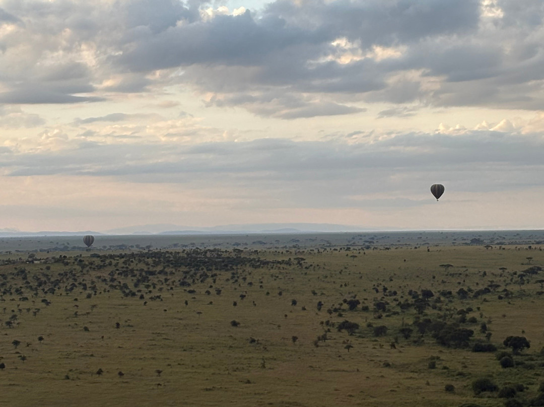 Adventures Aloft Balloon Safari Tanzania-Ikoma必去景点