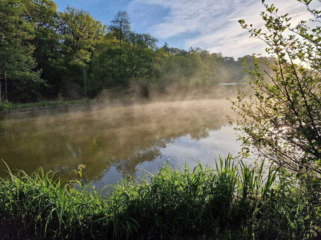 Furnace Mill Fishery-Bewdley必去景点