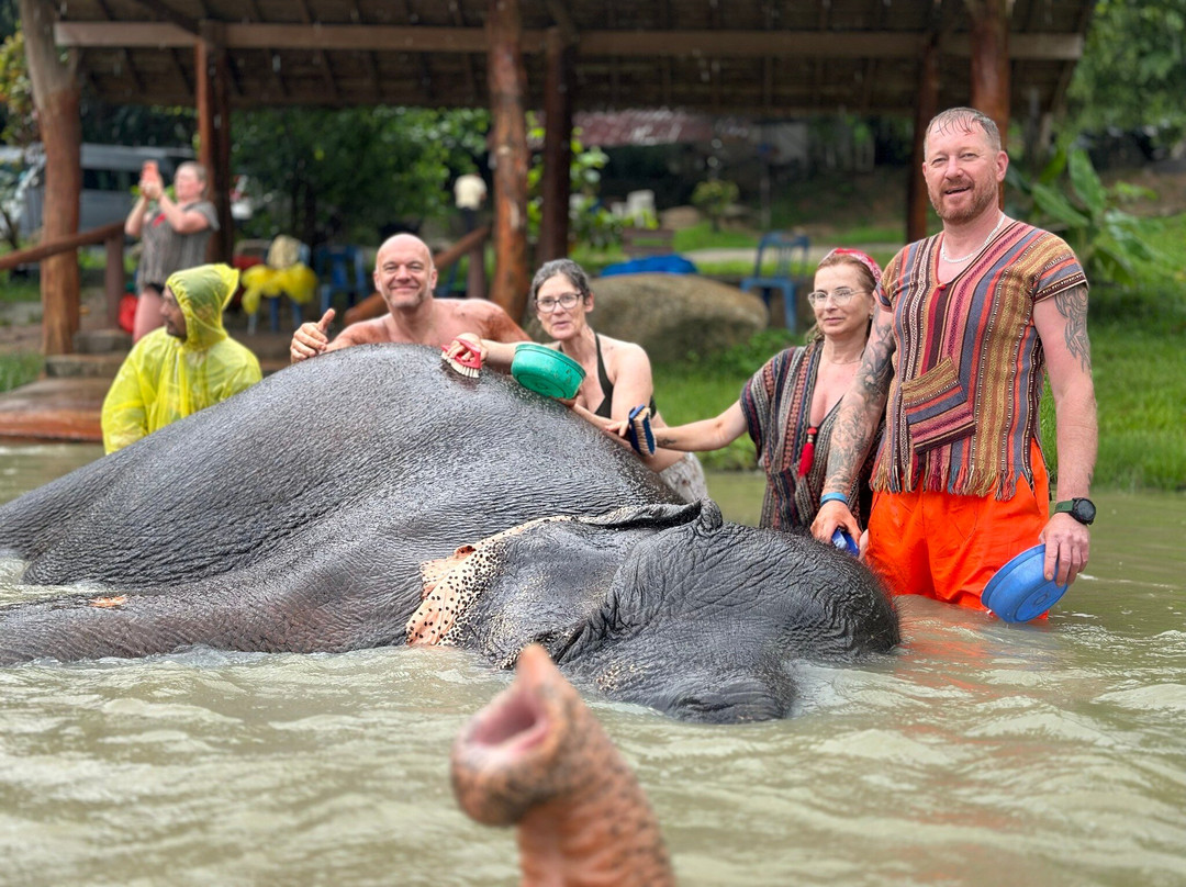Phuket Elephant Care-奈通必去景点