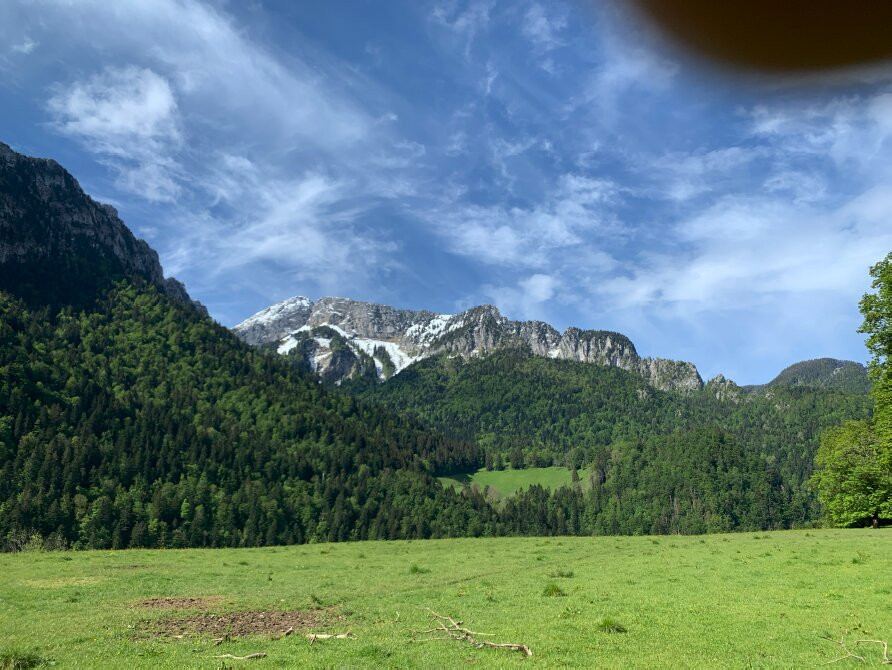 Musée De La Grande Chartreuse-Saint-Pierre-de-Chartreuse必去景点