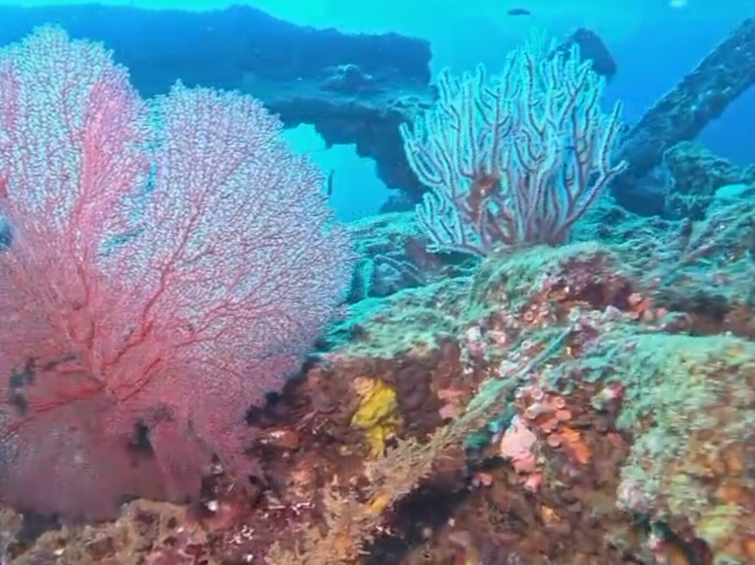 Scuba Addicts Dive Center Passikuda-卡尔库达必去景点