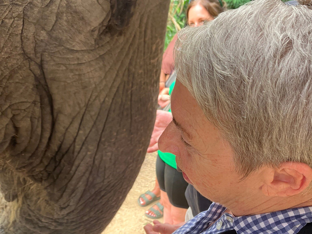 Phangan Elephant Sanctuary-帕岸岛必去景点