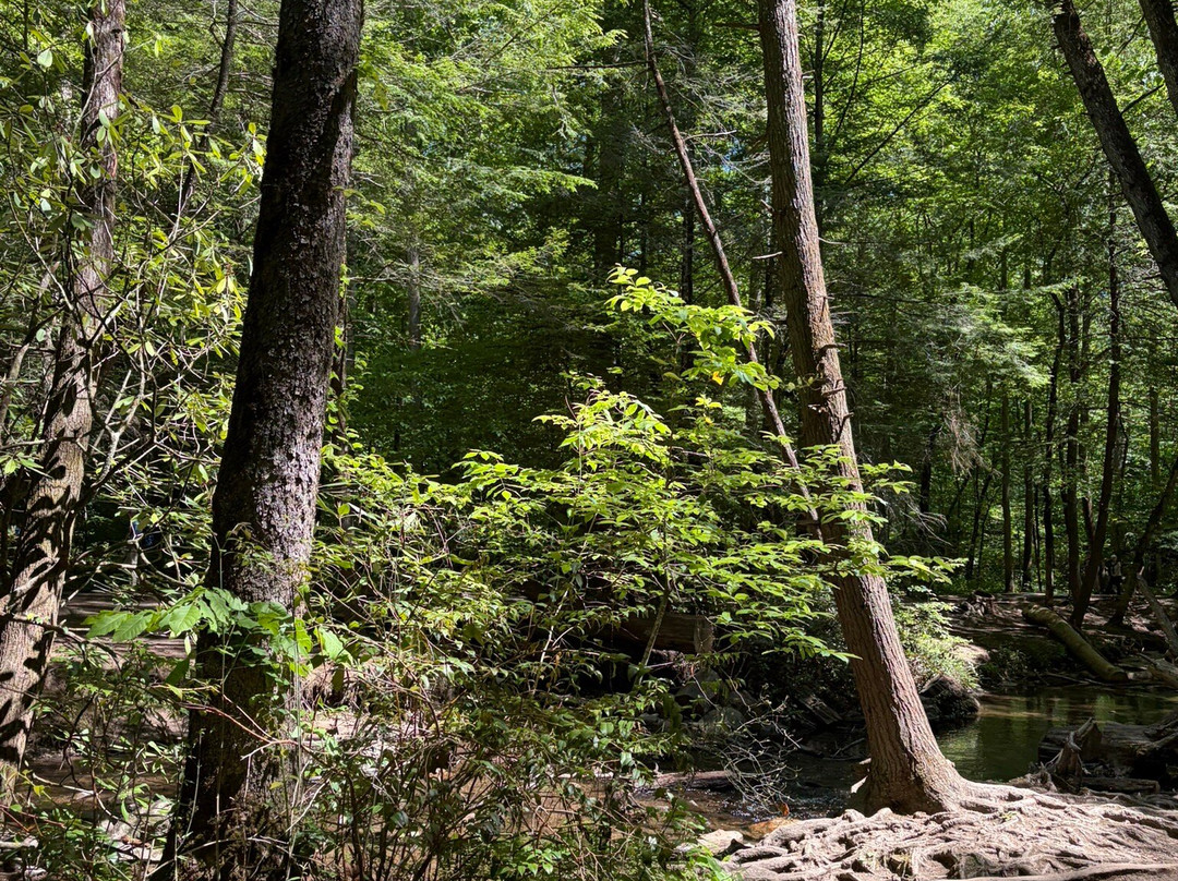 Great Smoky Mountains National Park-盖林柏格必去景点