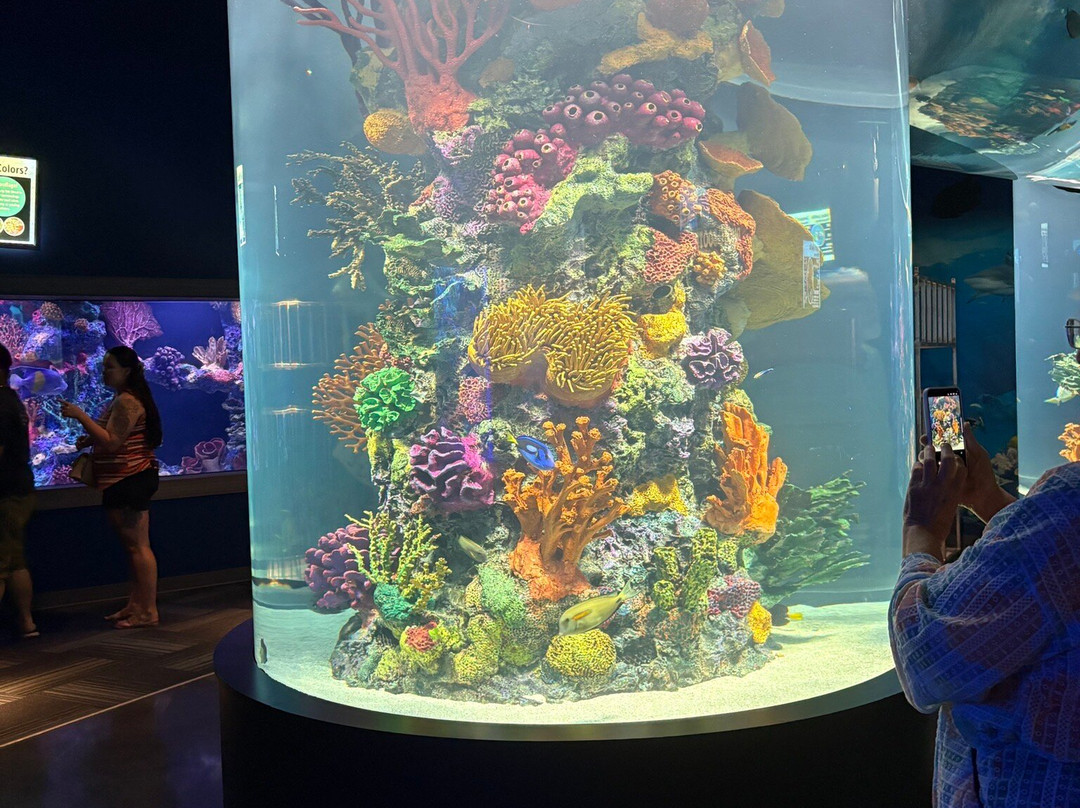 Daytona Aquarium & Rainforest Adventure-代托纳比奇必去景点