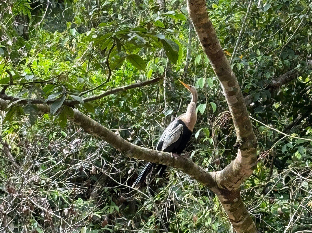 Napo Wildlife Center Ecolodge主图