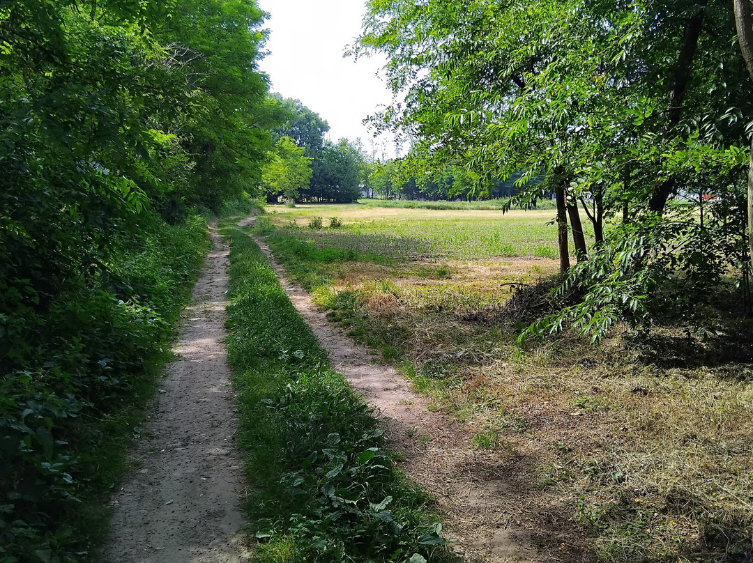 Grande Anello Verde Sommese - Gavs - Parco del Ticino-Somma Lombardo必去景点