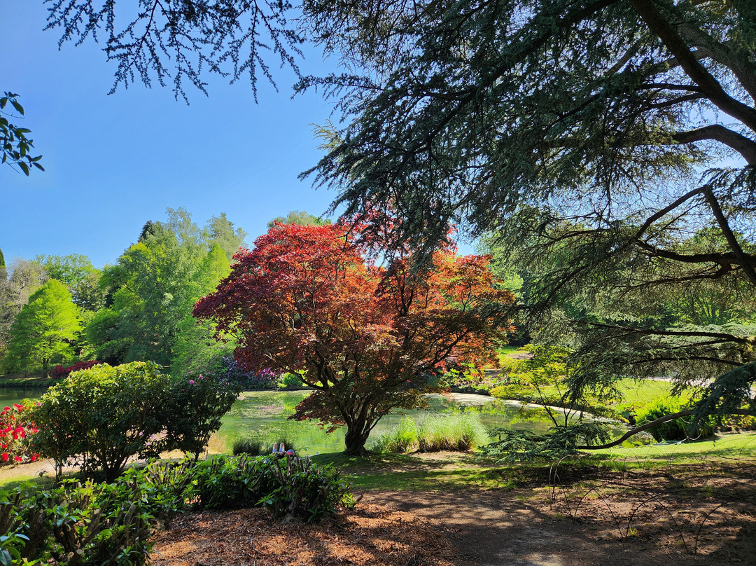 Sheffield Park And Garden-阿克菲尔德必去景点