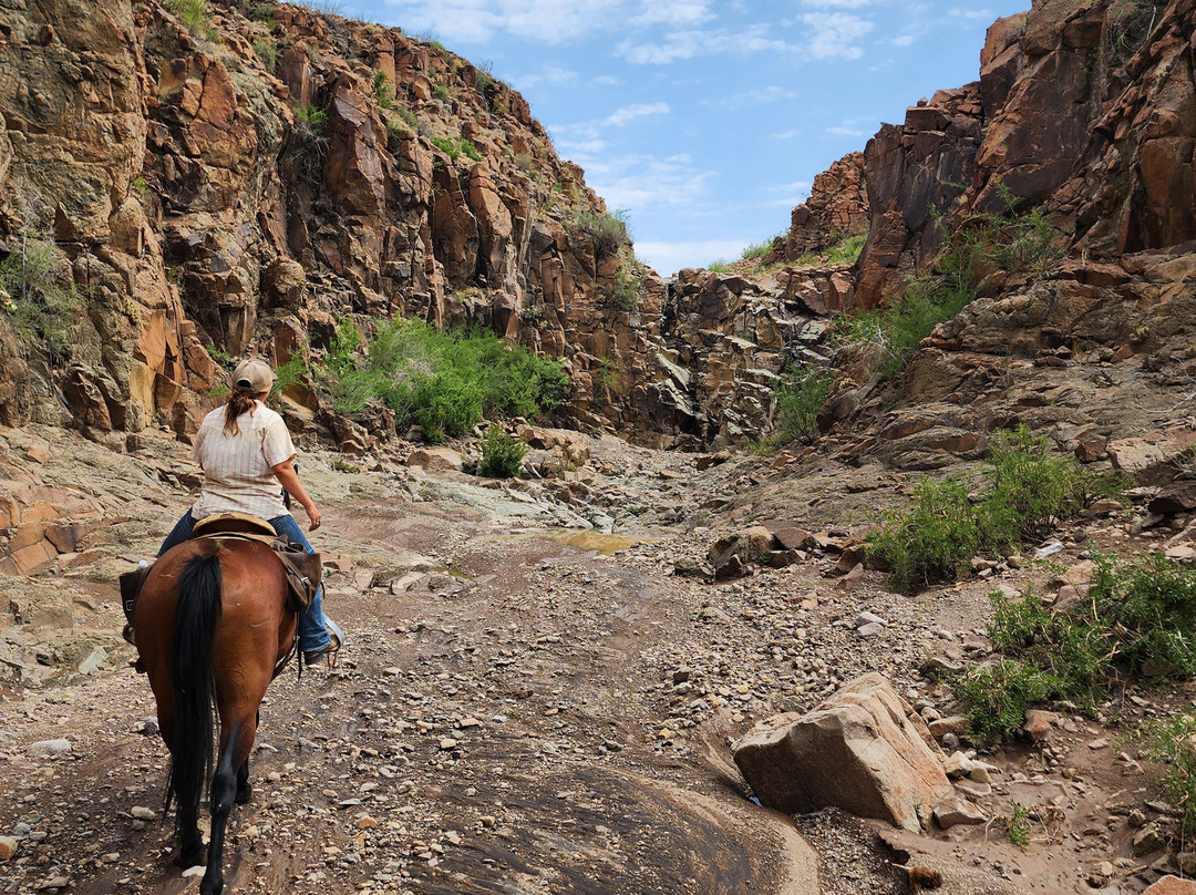 Big Bend & Lajitas Stables-Terlingua必去景点