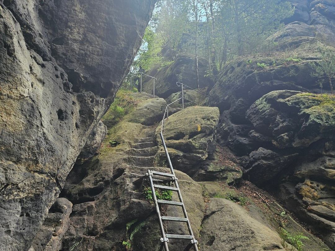Der Gohrisch (Gohrischstein)-Gohrisch必去景点