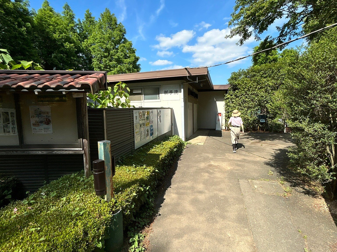 Osaki Park-埼玉市必去景点