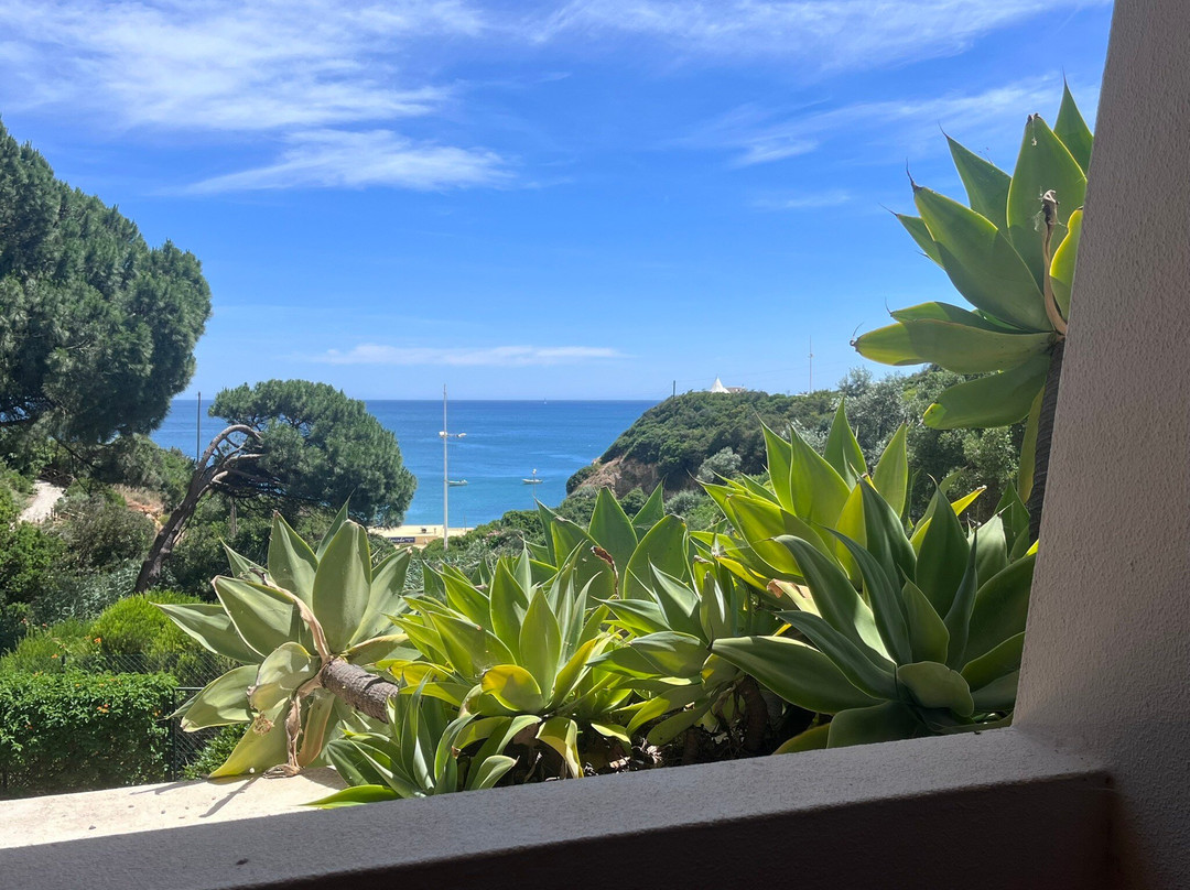 Pestana Porches Praia主图