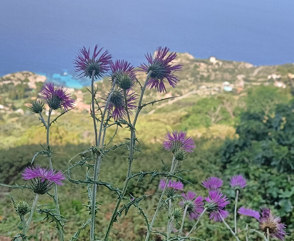Giglio Castello-托斯卡纳必去景点