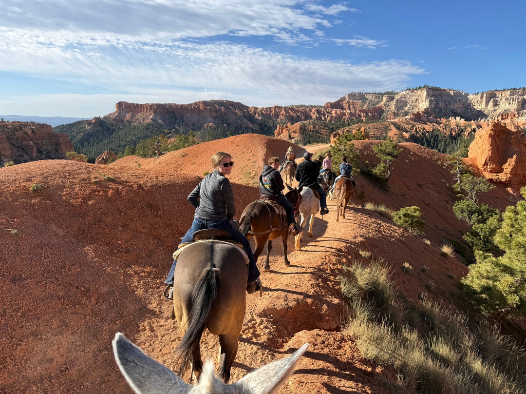 Canyon Trail Rides-特罗皮克必去景点
