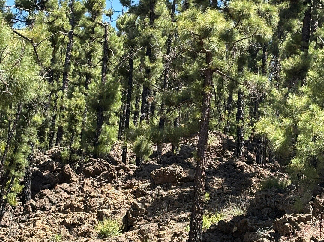 Teide National Park-Vilaflor必去景点