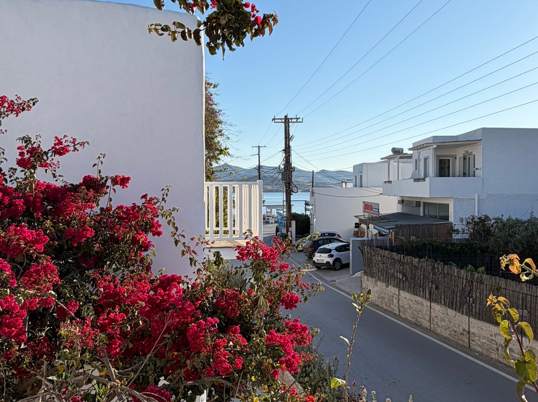 Villa Delmar - Delmar系列主图
