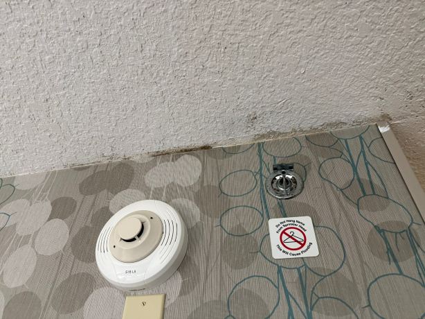 格尔夫波特海滨万豪万怡酒店-旅行者