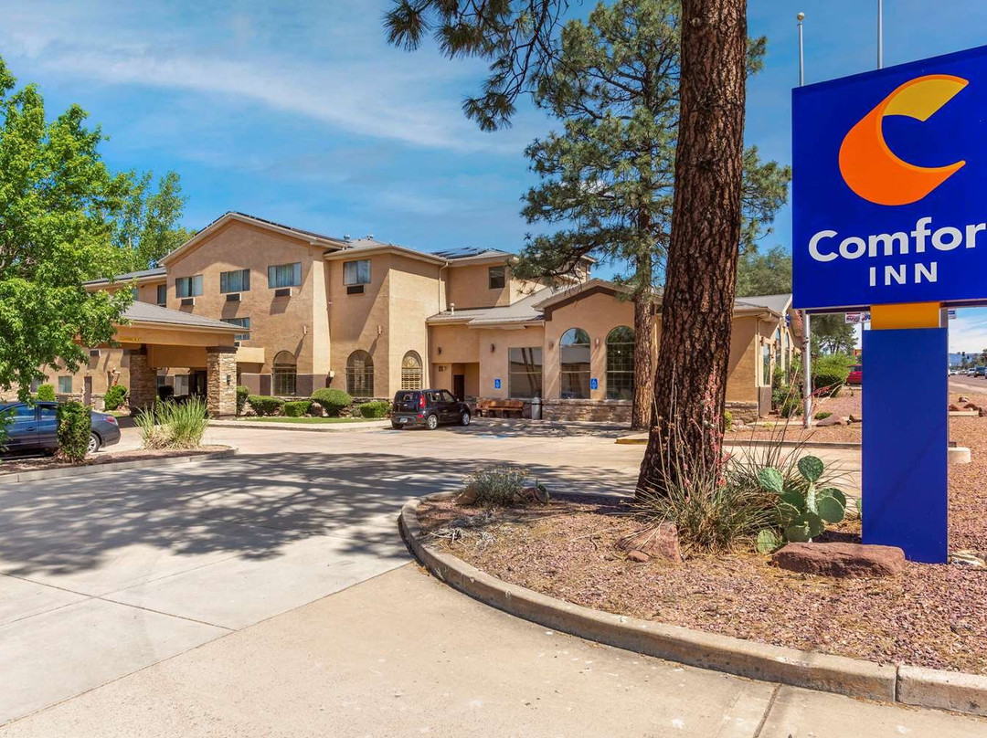 Young酒店住宿-Comfort Inn Payson