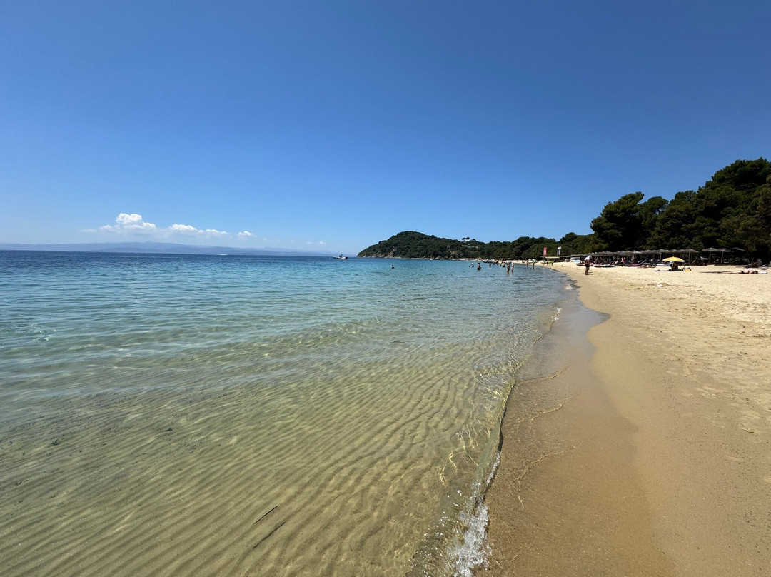 Koukounaries Beach-Koukounaries必去景点