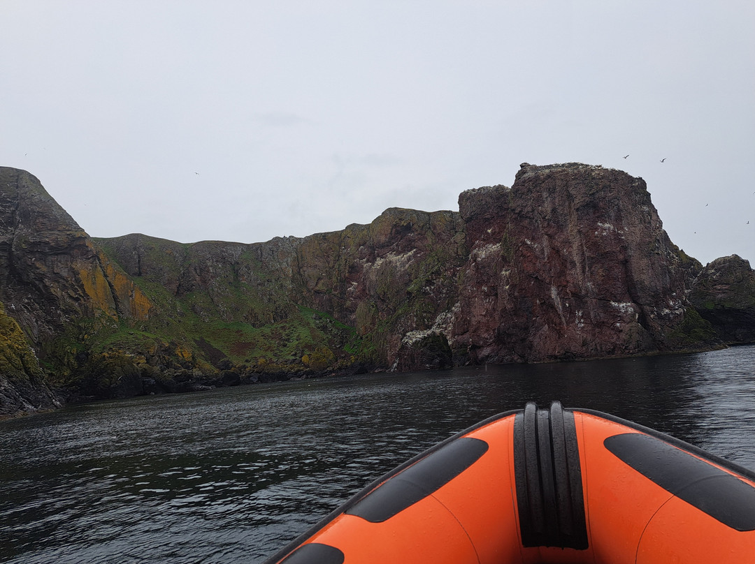Eyemouth Rib Trips-Eyemouth必去景点