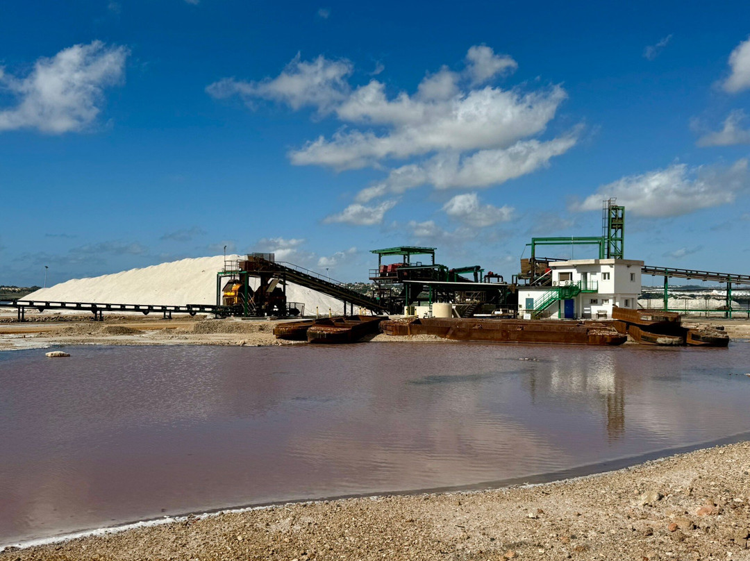 Laguna Salada de Torrevieja-托雷维耶哈必去景点