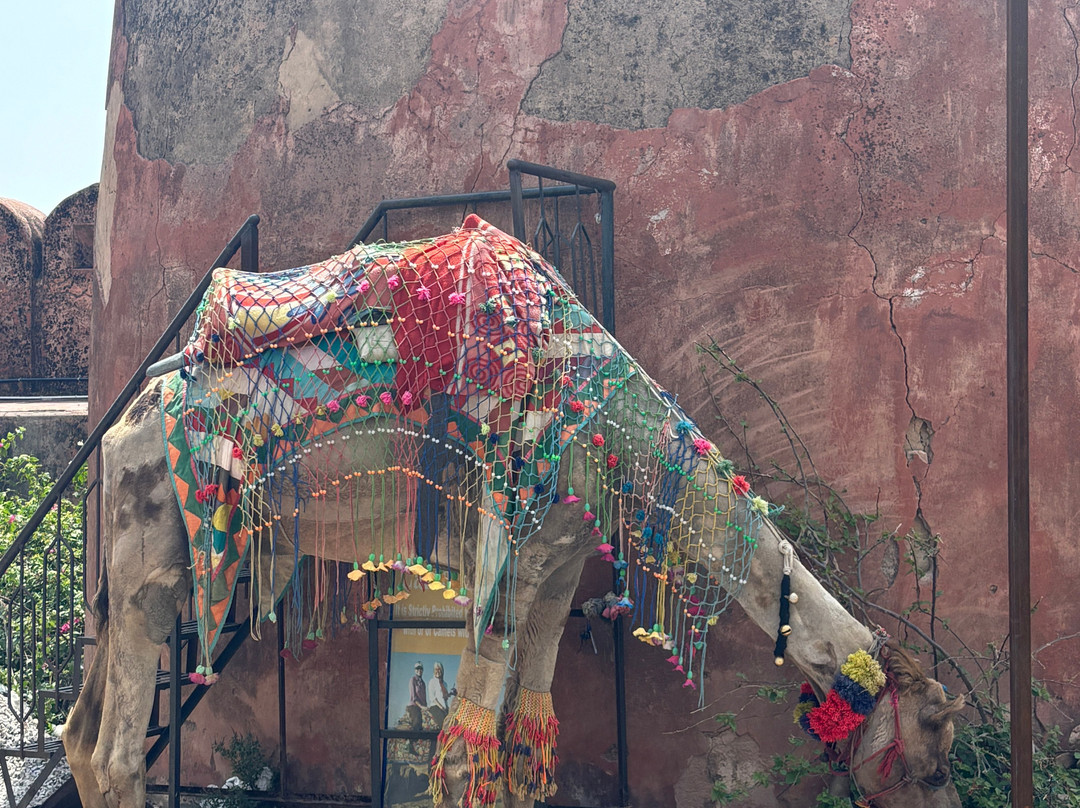 Jaigarh Fort-Amer必去景点