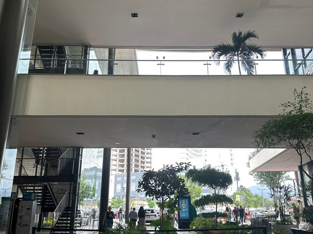 Centro Comercial Altacia-利昂必去景点