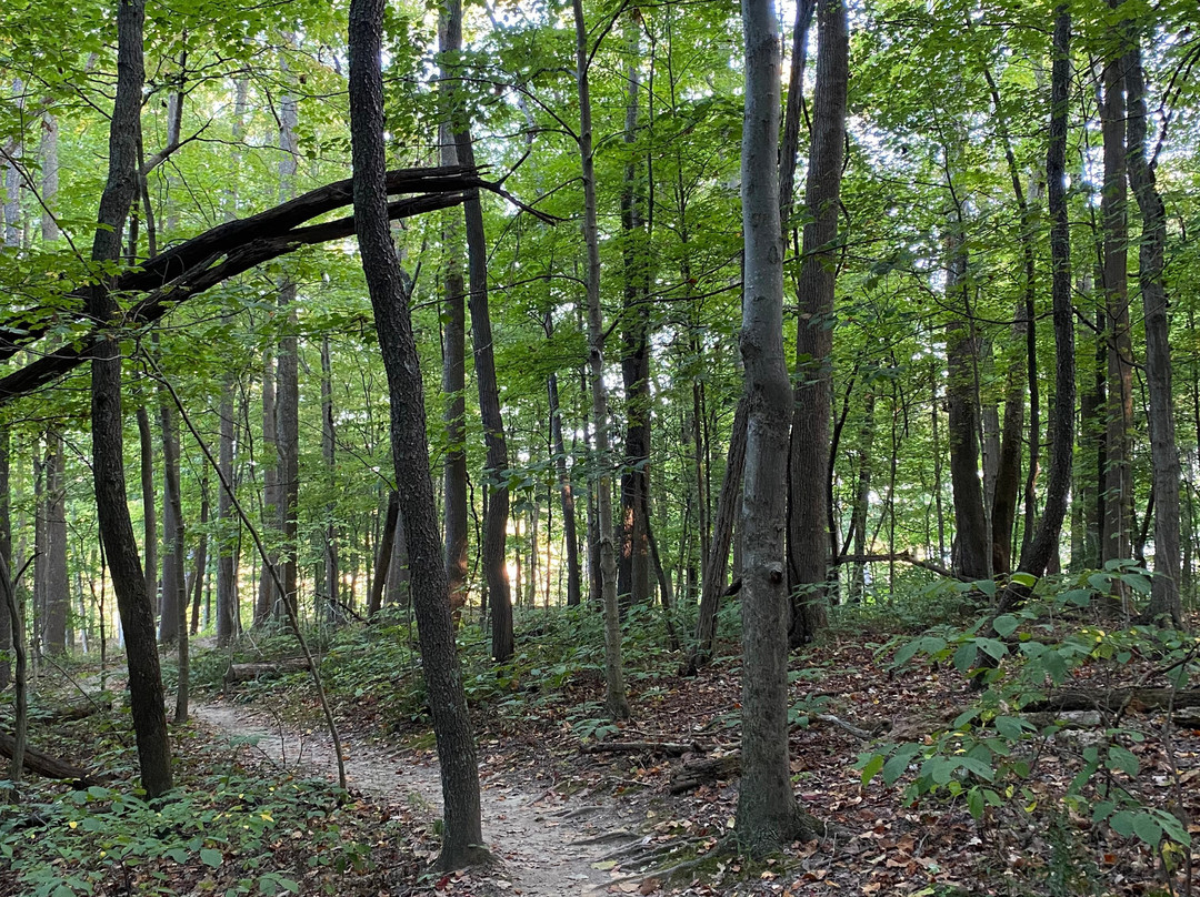 East Fork State Park-Bethel必去景点