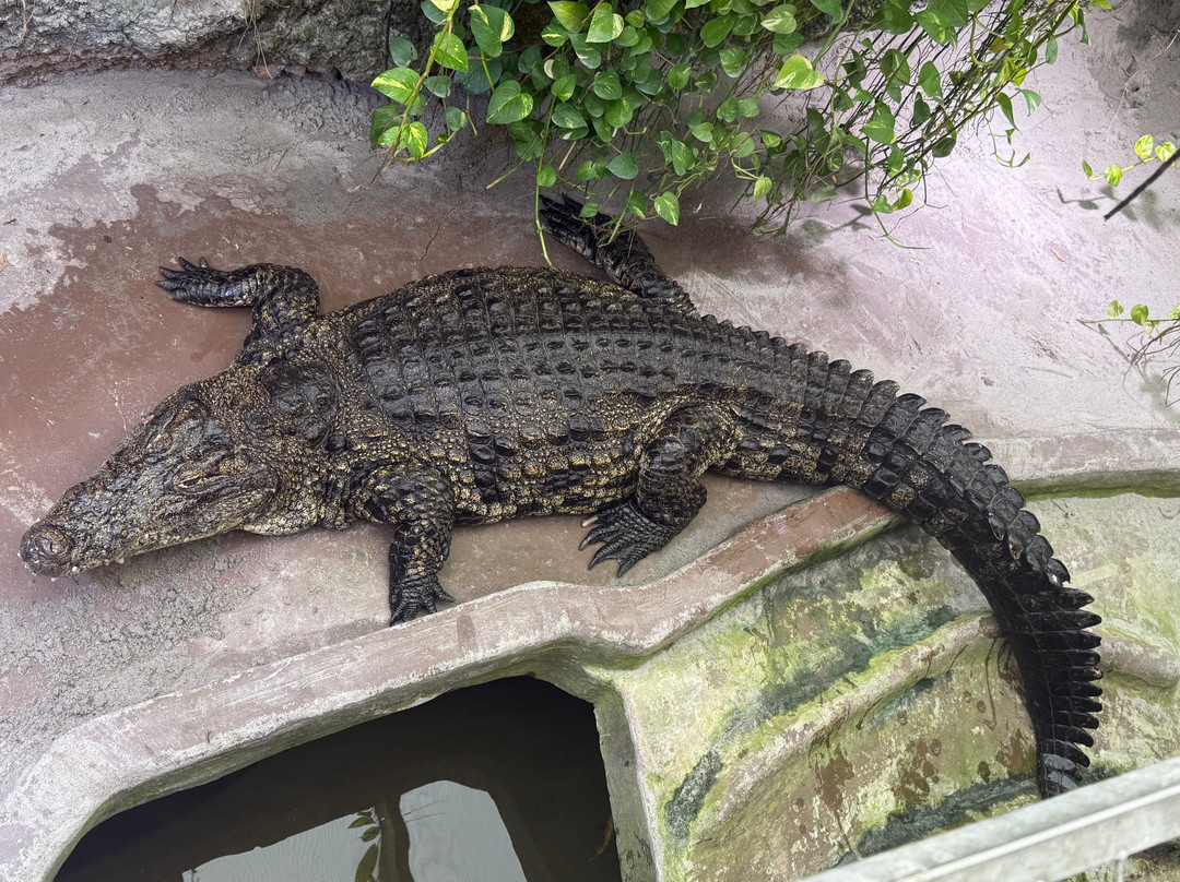 Krokodille Zoo-Eskilstrup必去景点