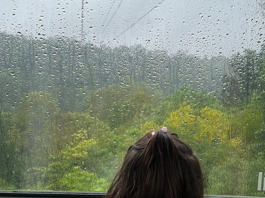 Skyrail Rainforest Cableway-Smithfield必去景点