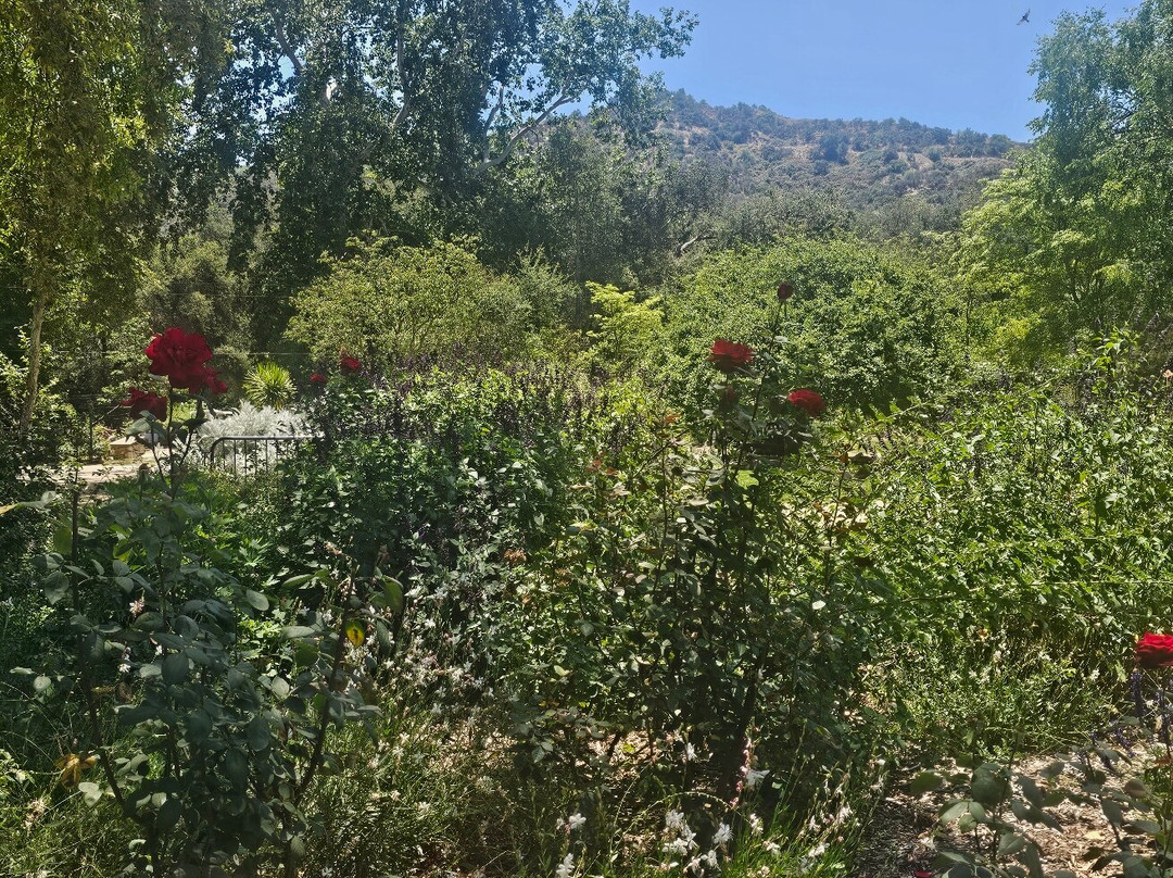 Descanso Gardens-拉肯纳达石岭必去景点