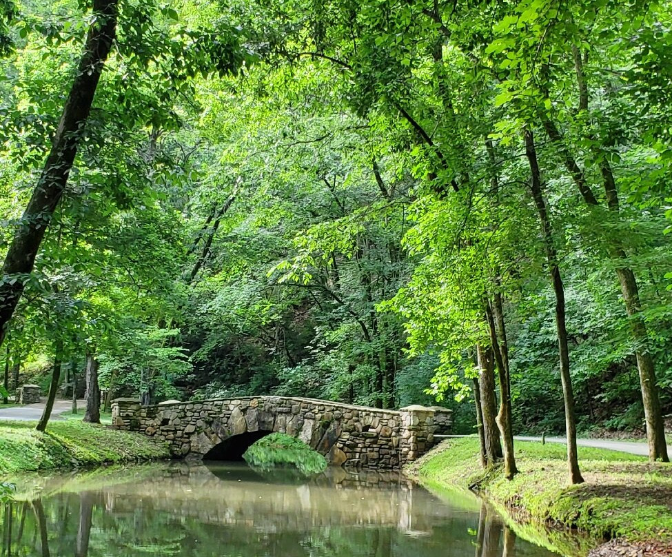 Dogwood Canyon Nature Park-Lampe必去景点