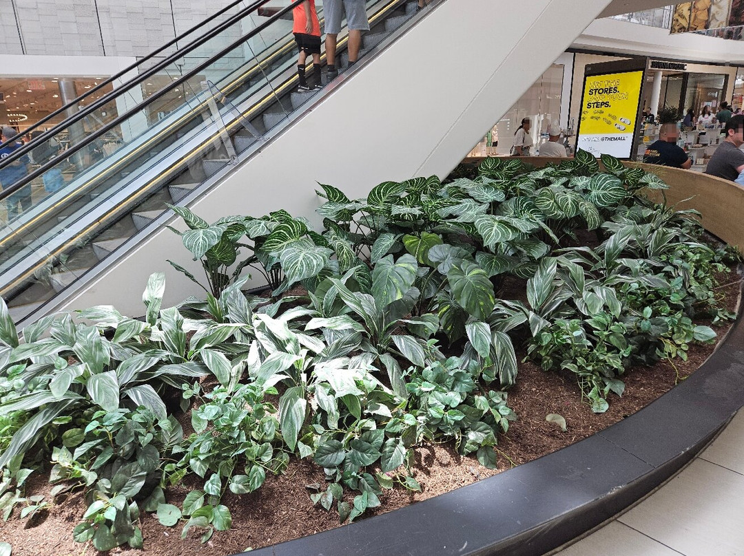 Del Amo Fashion Center-托伦斯必去景点