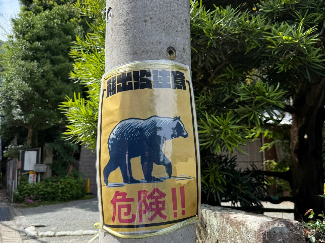 Isehara City Sports Park-伊势原市必去景点
